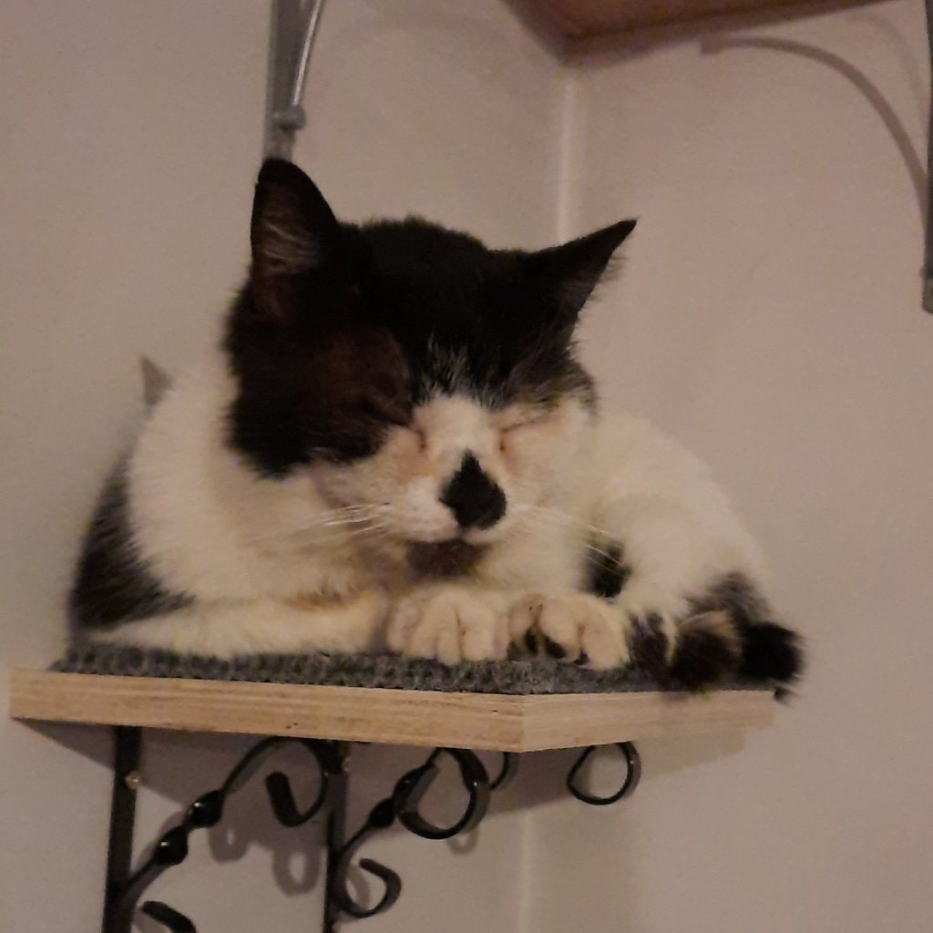 Dusty