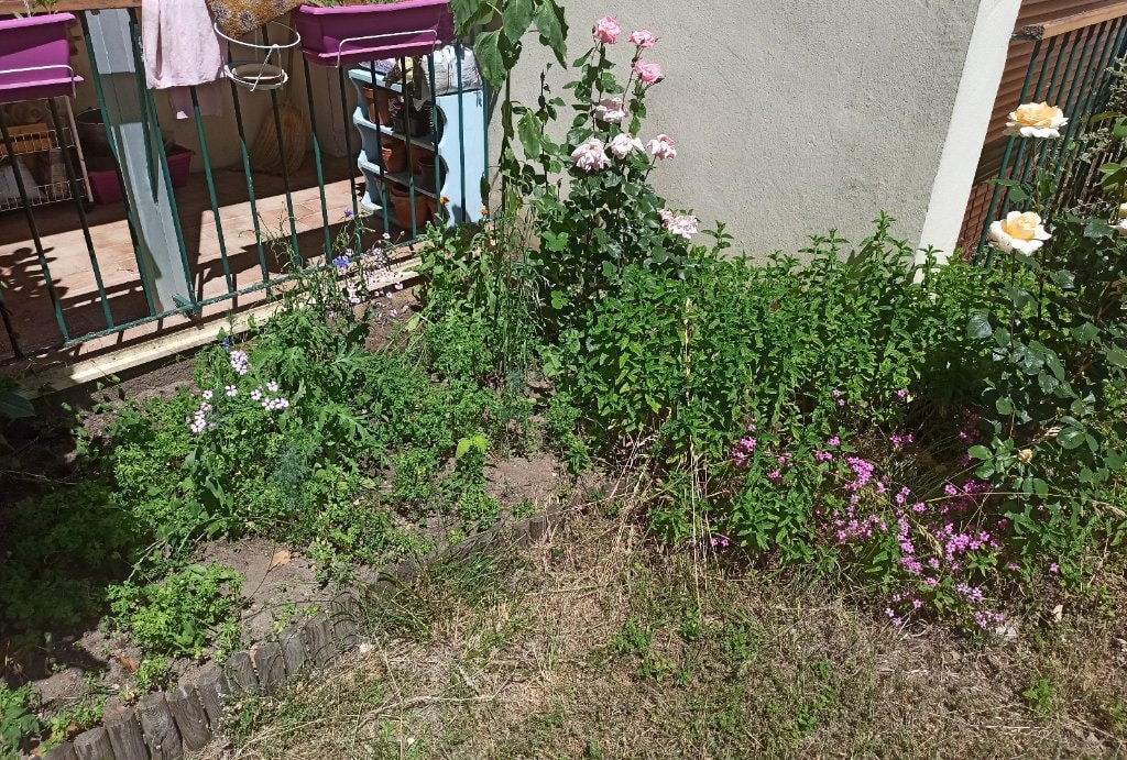 image-0