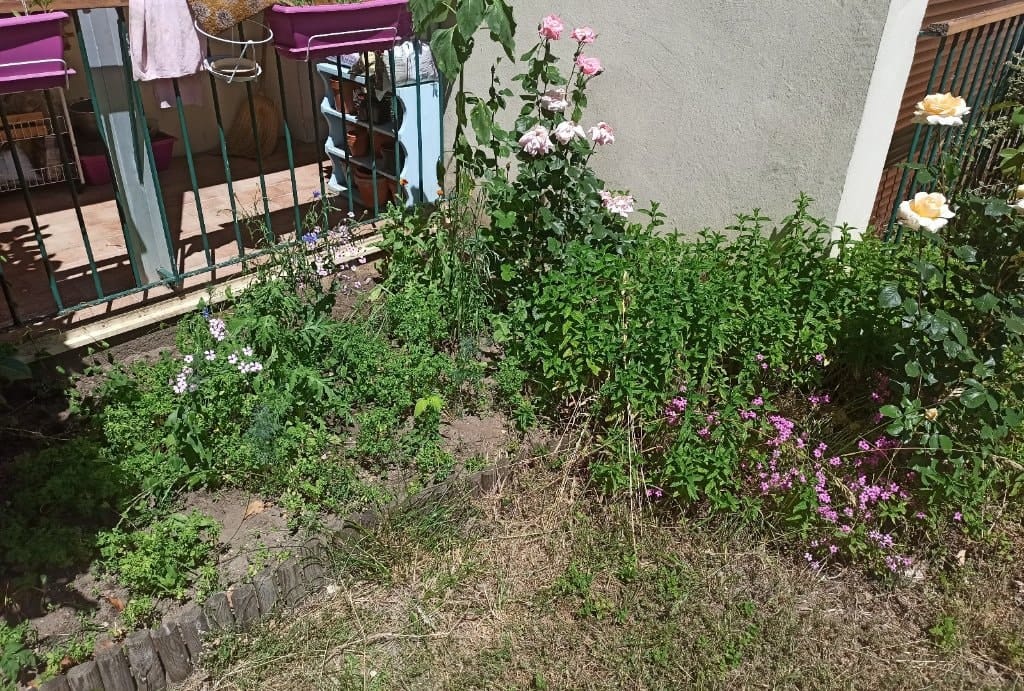 image-0