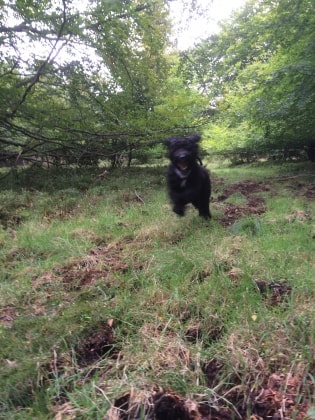 image-1