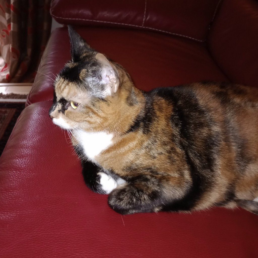 Marmite