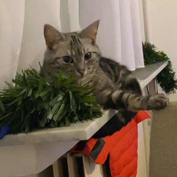 Chloe