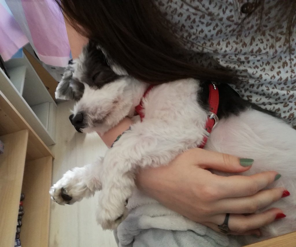 image-8