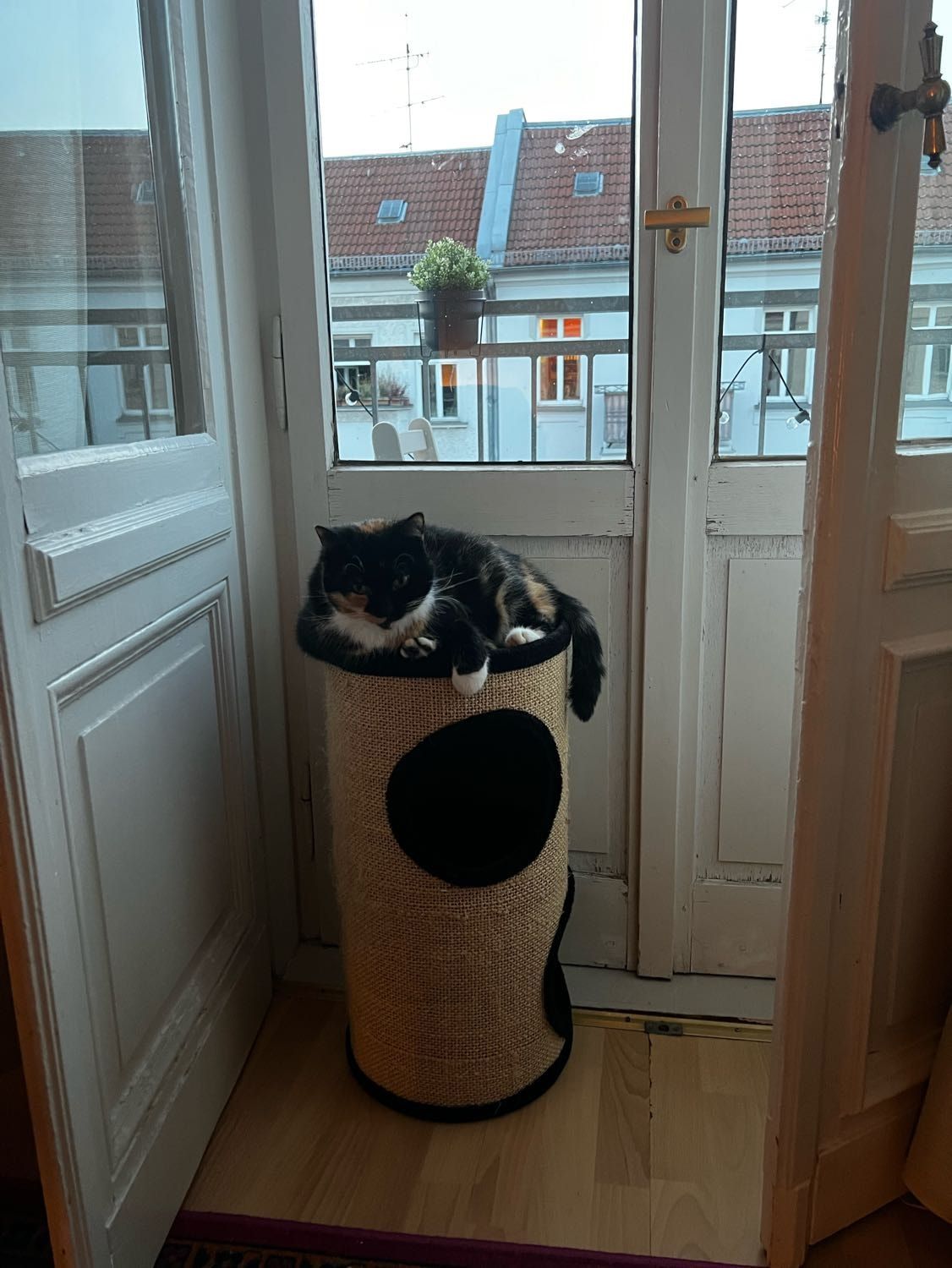 image-13