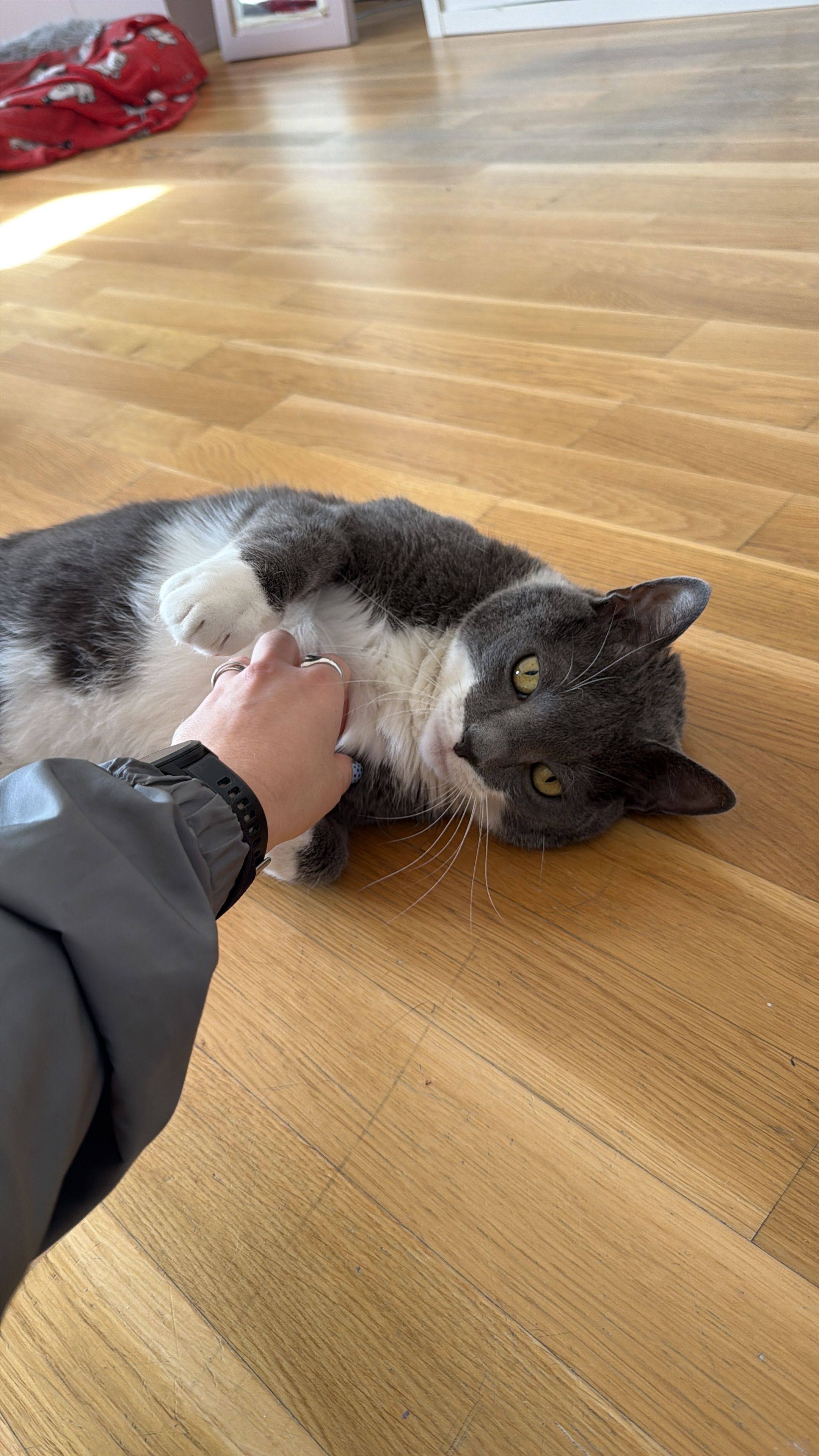 image-9