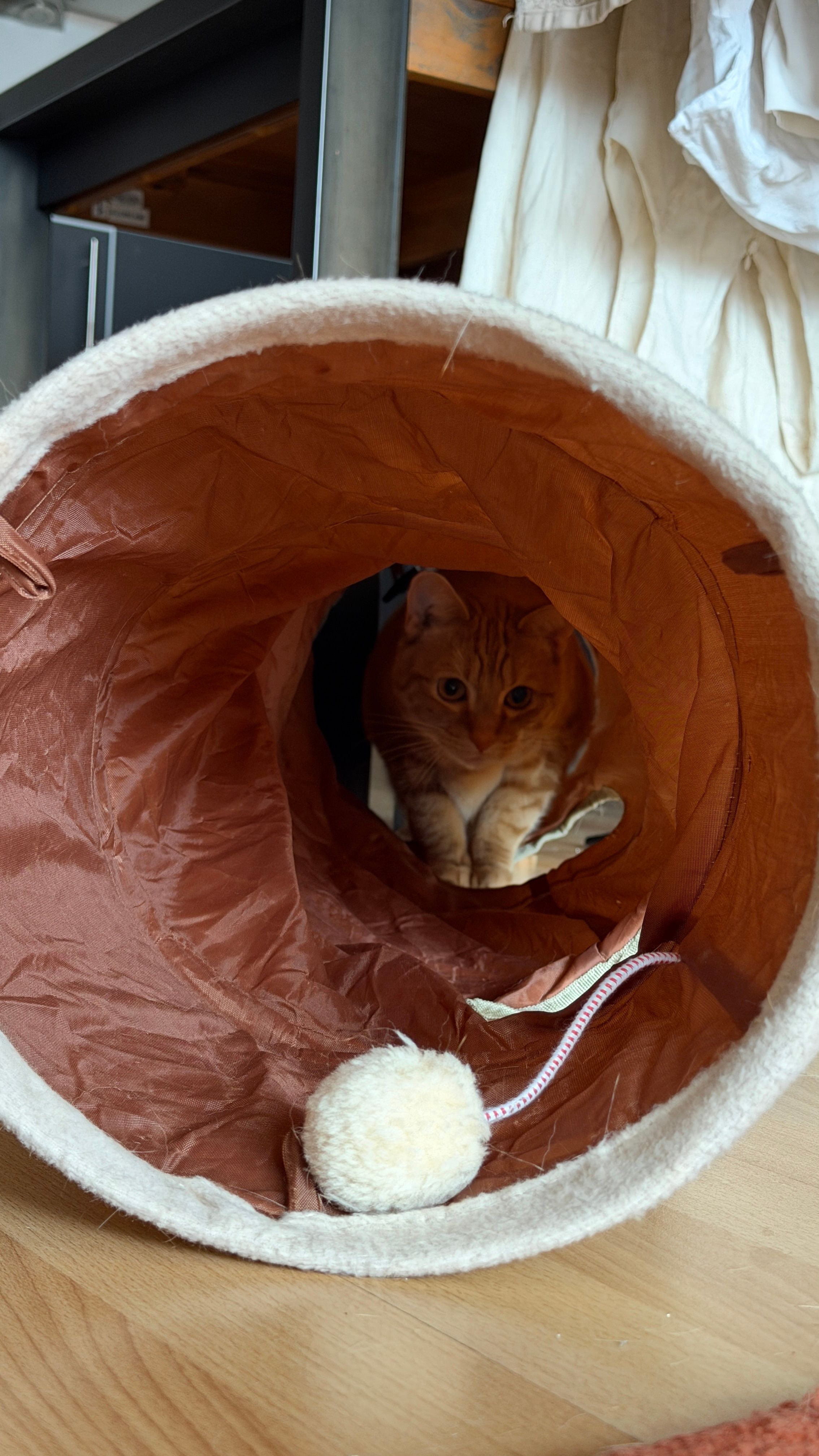 image-8