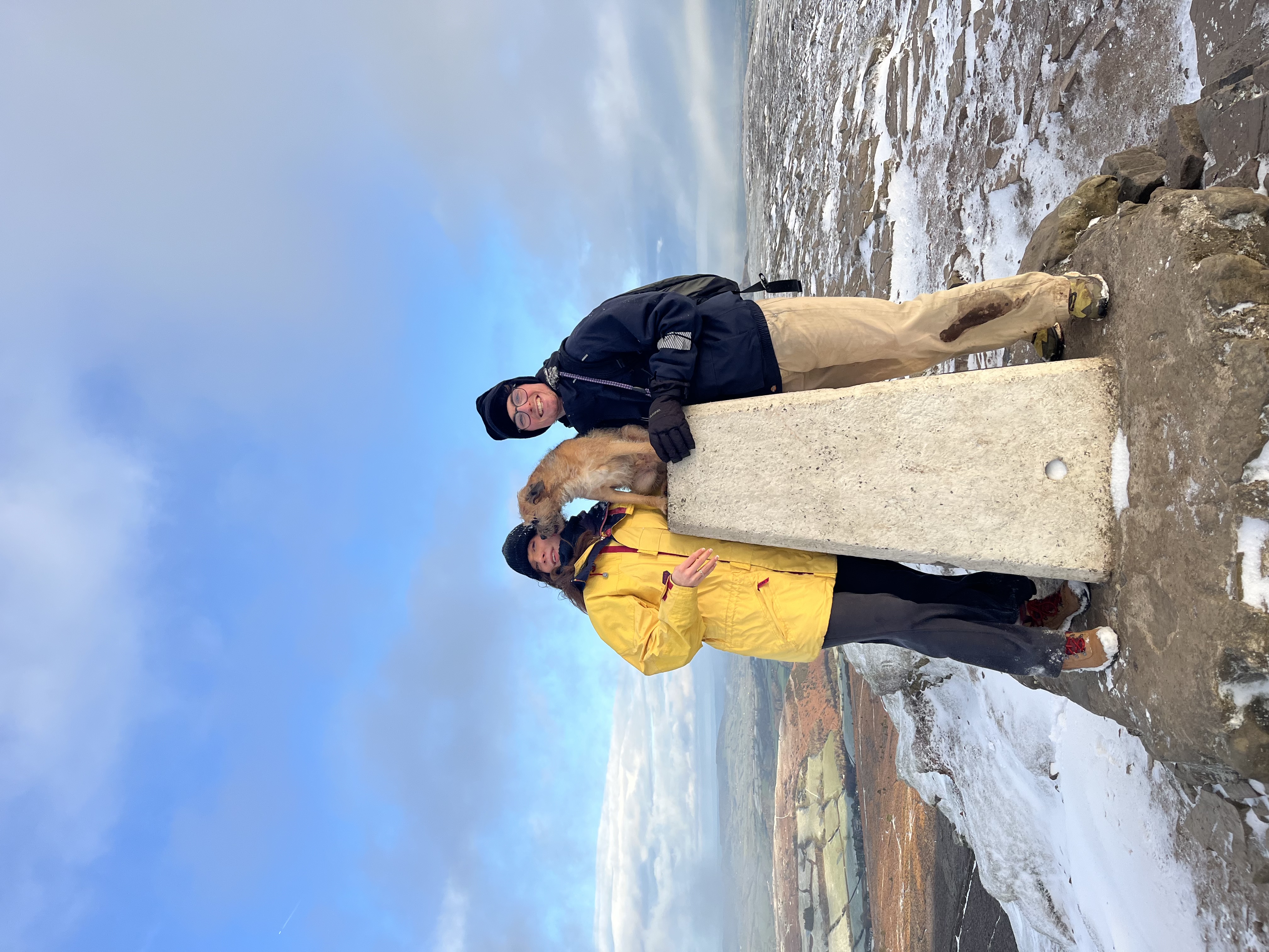 image-5