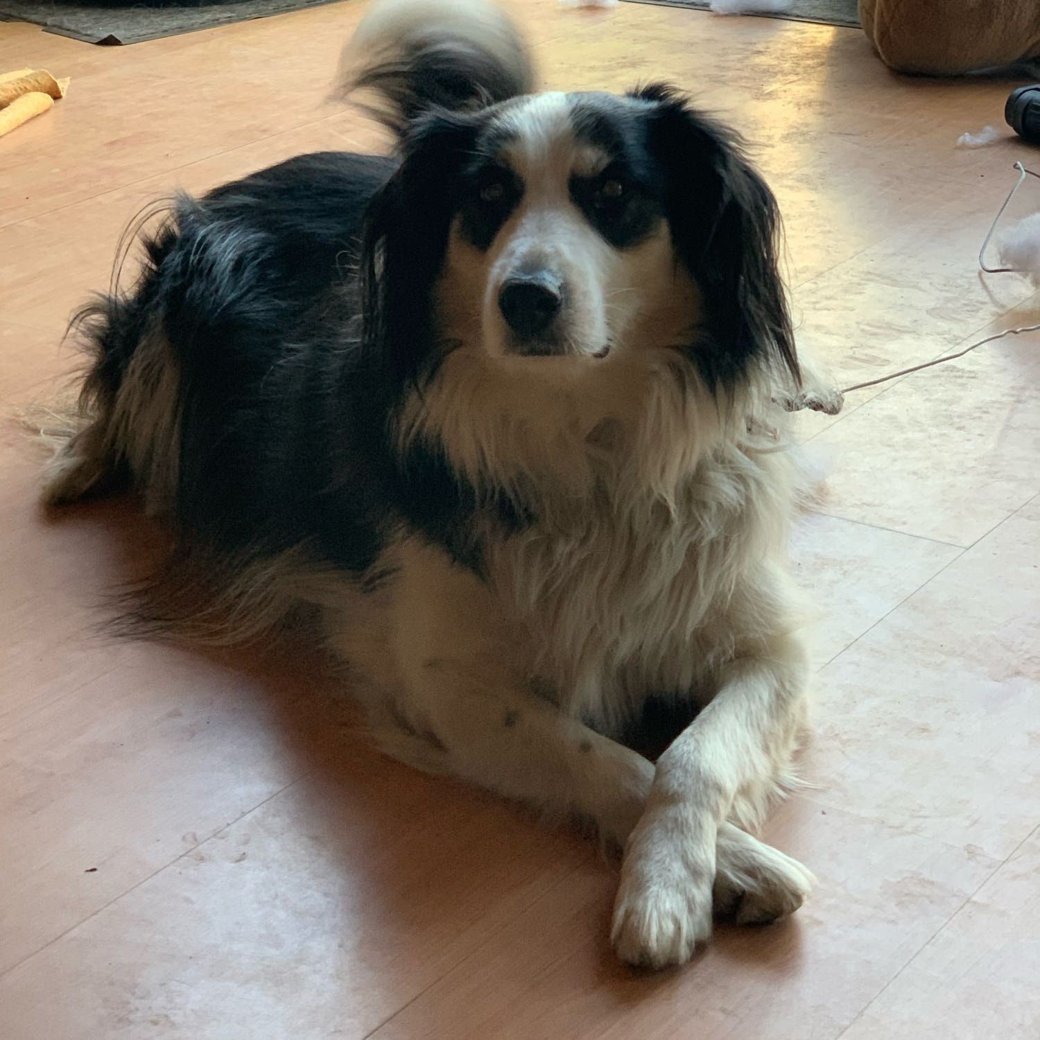Cooper