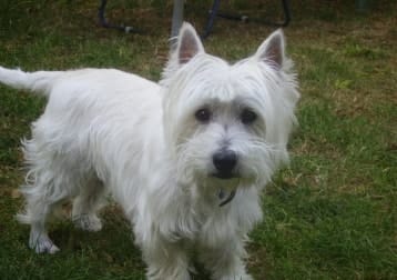 Freddie