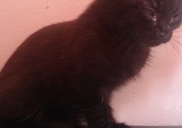Salem