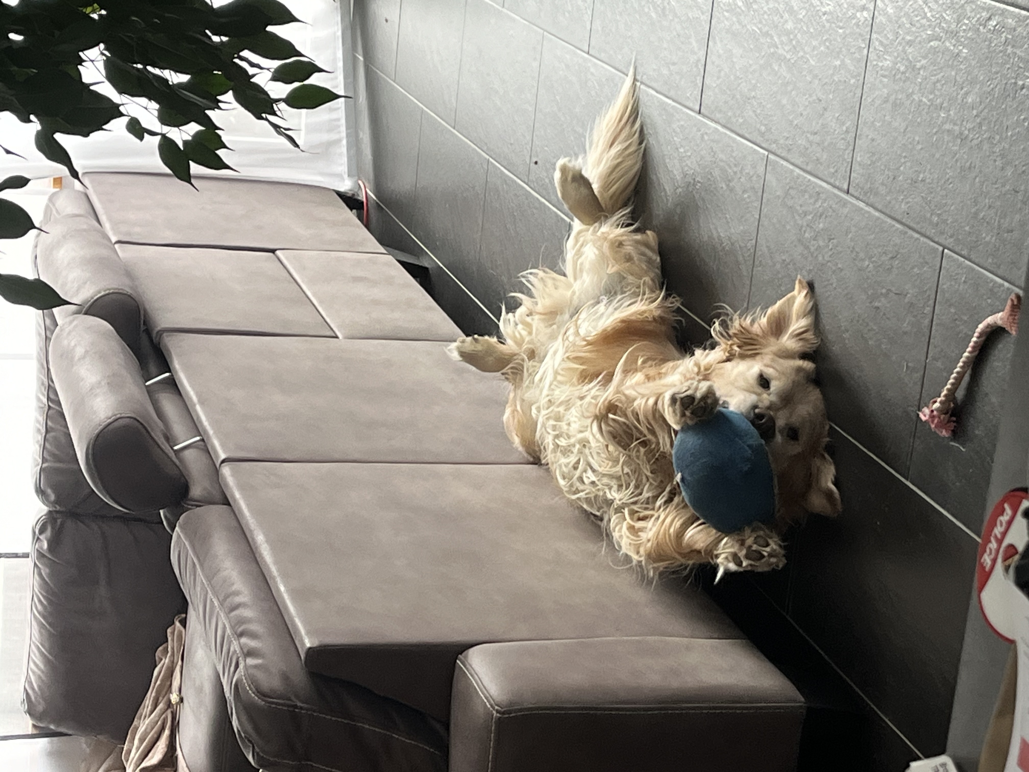 image-6