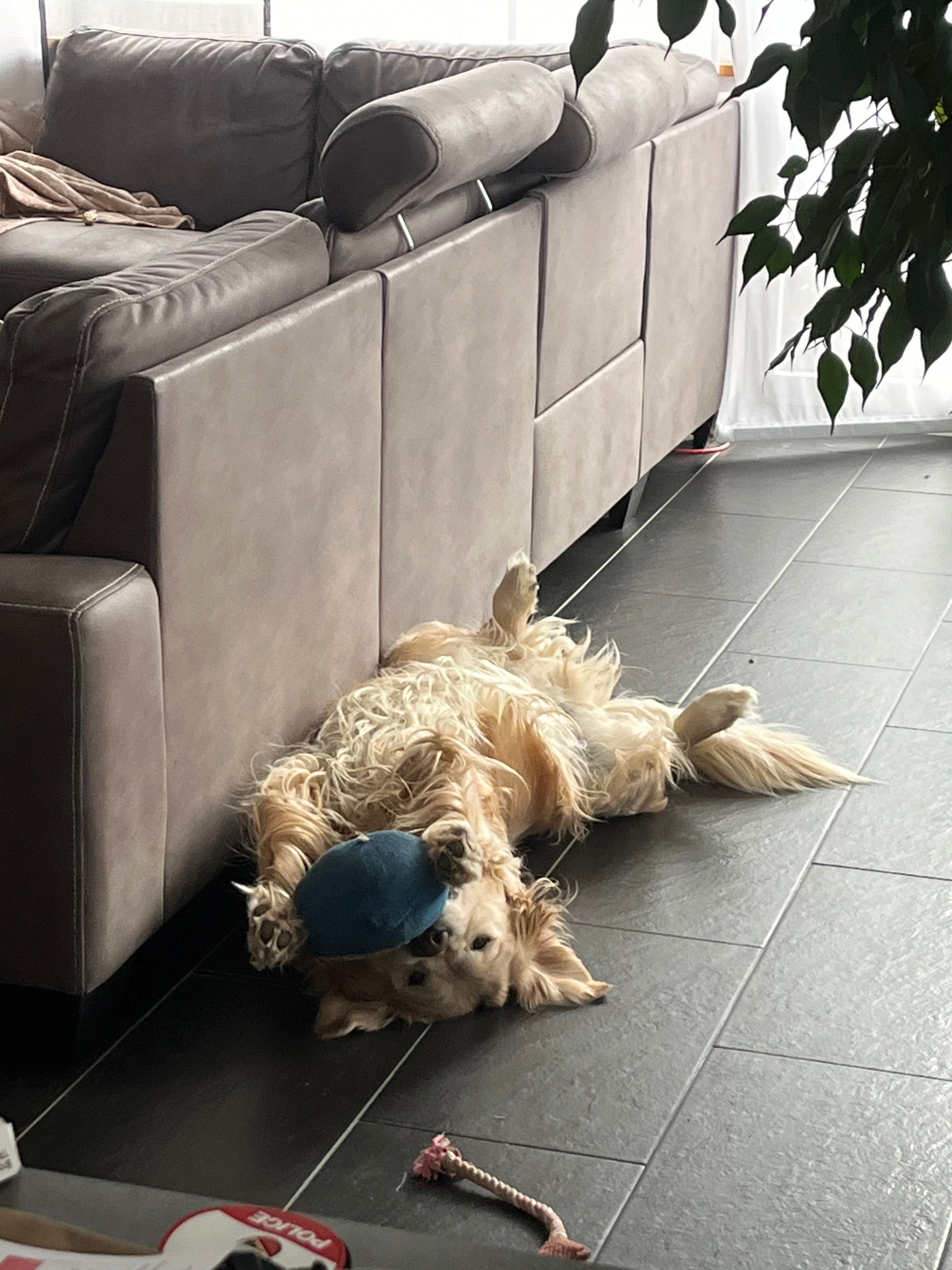 image-6