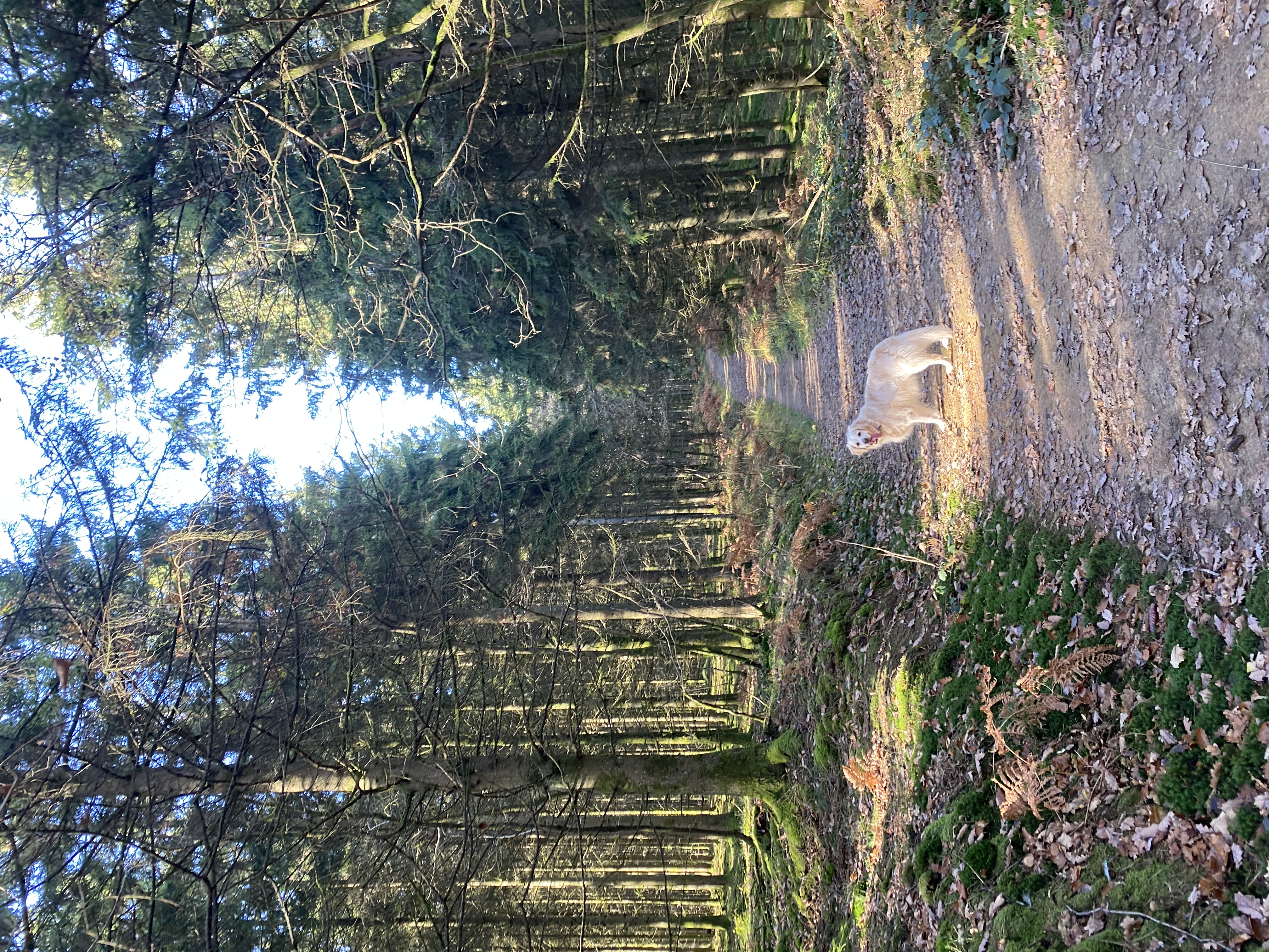 image-11