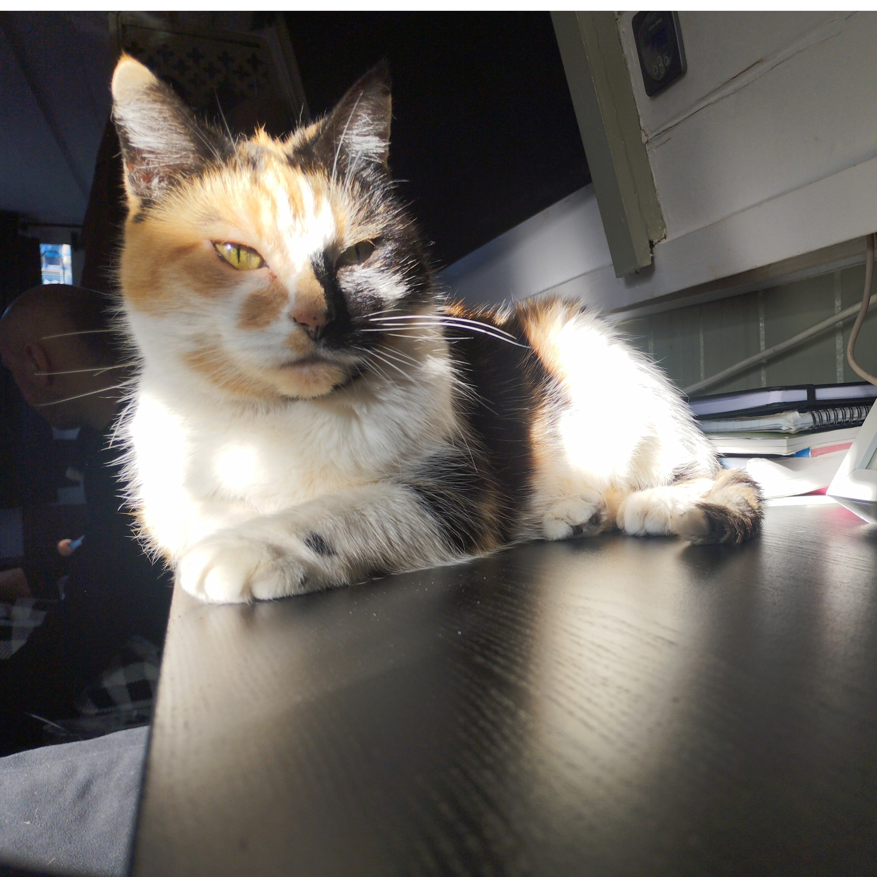 Meggie 