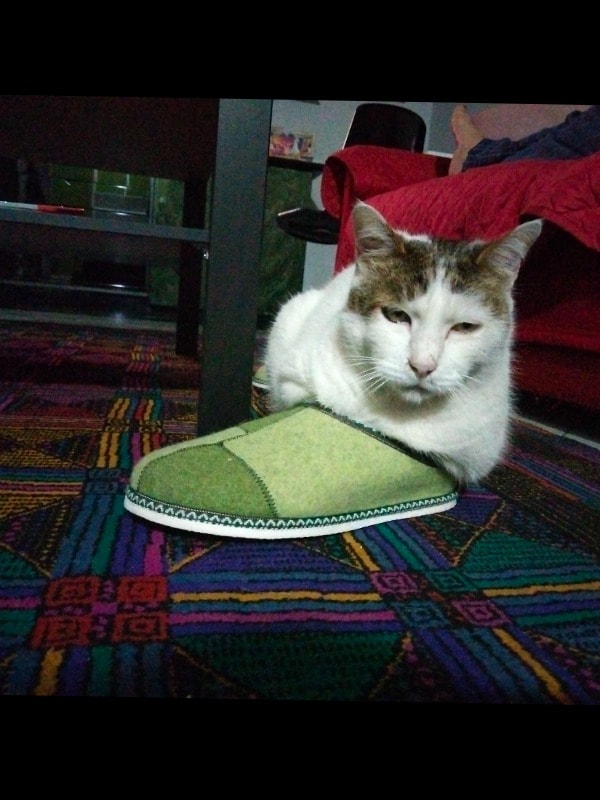 image-2