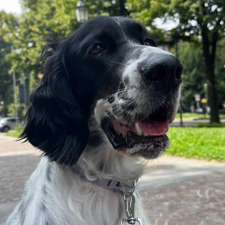Frida