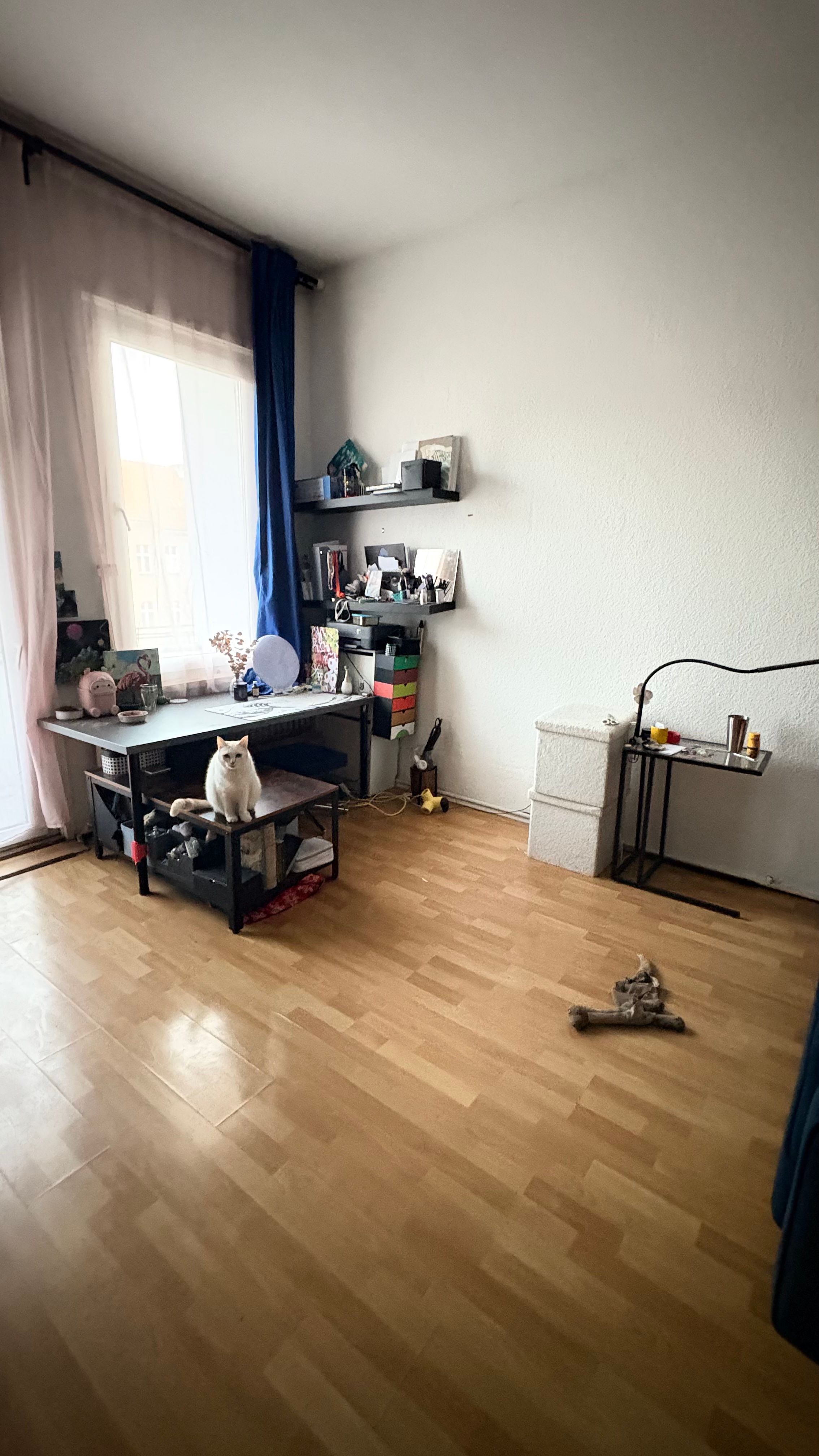 image-20