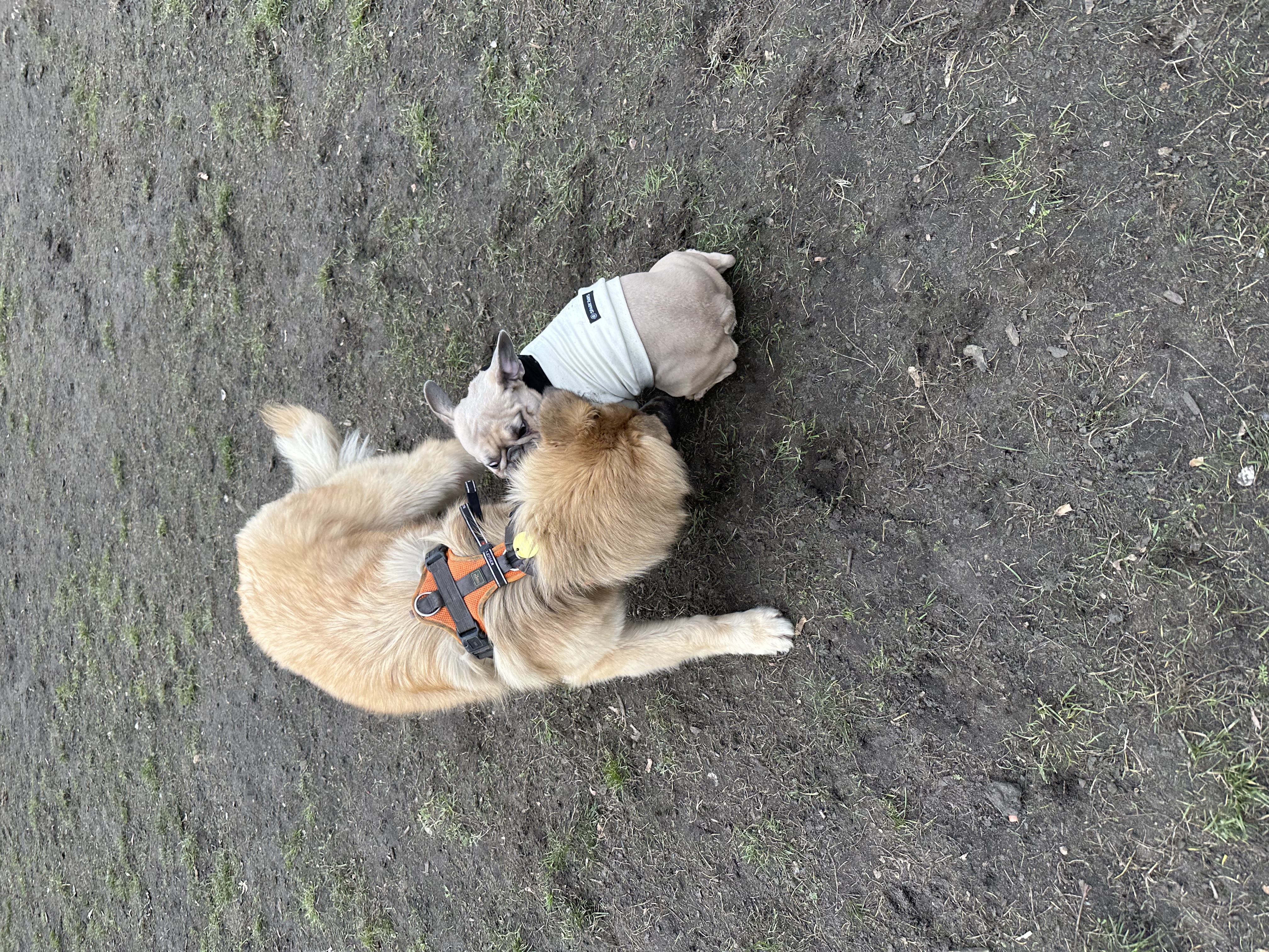 image-15