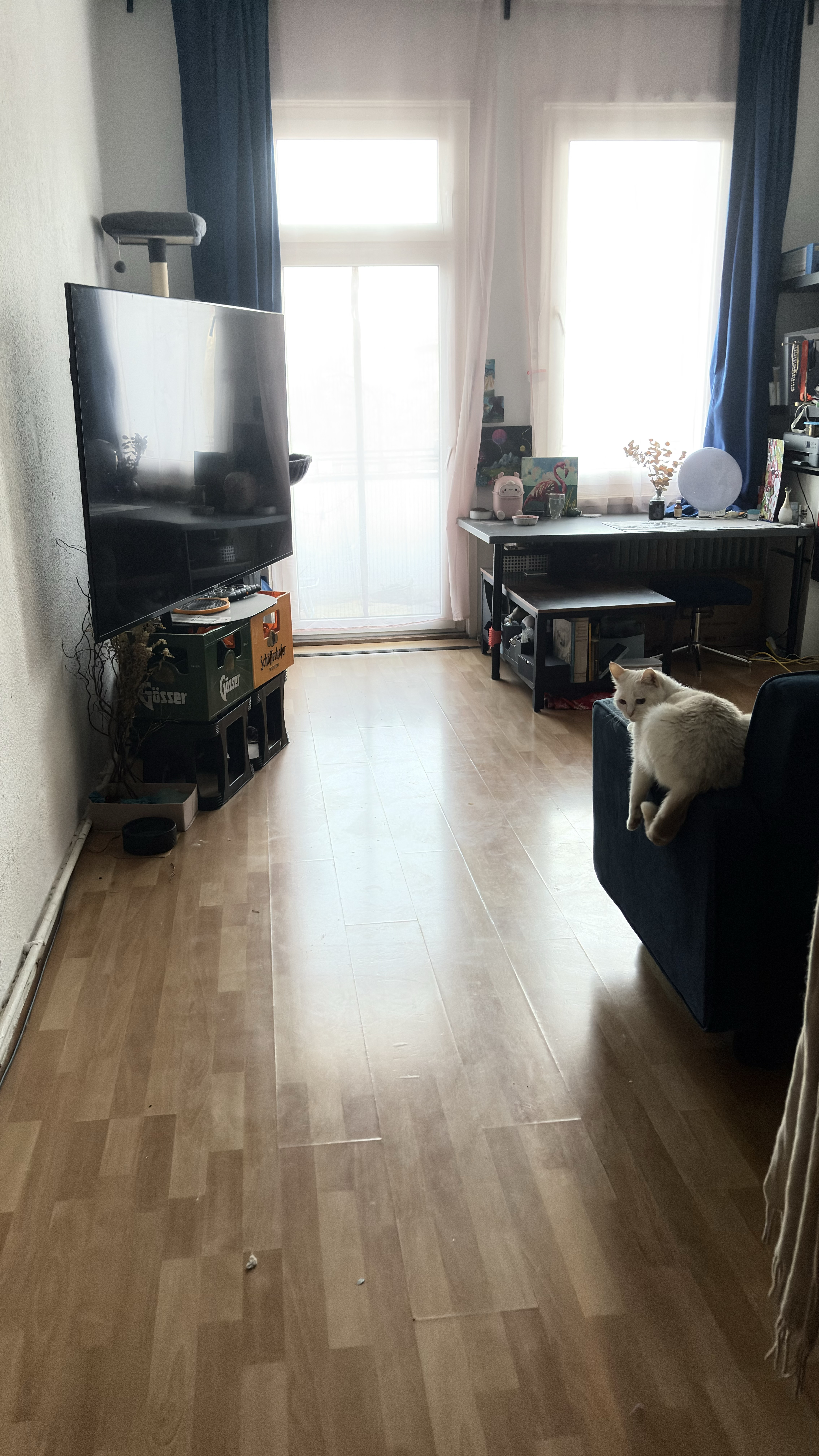 image-19