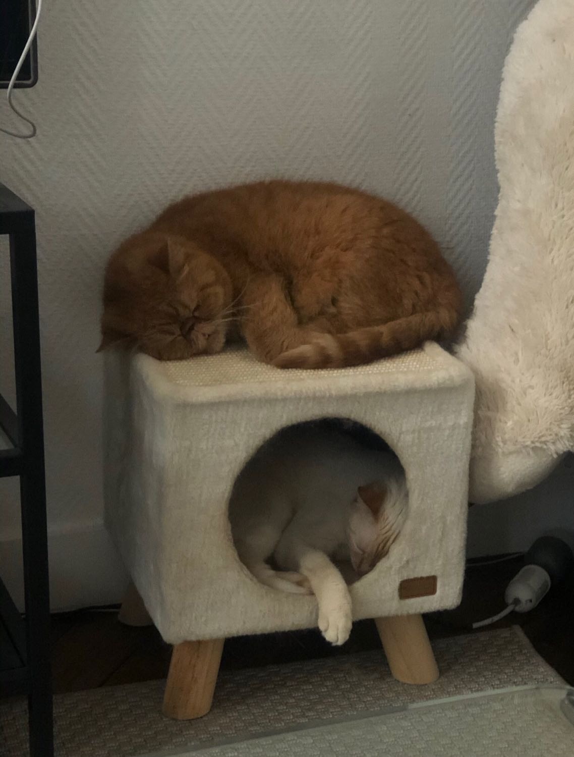 image-4