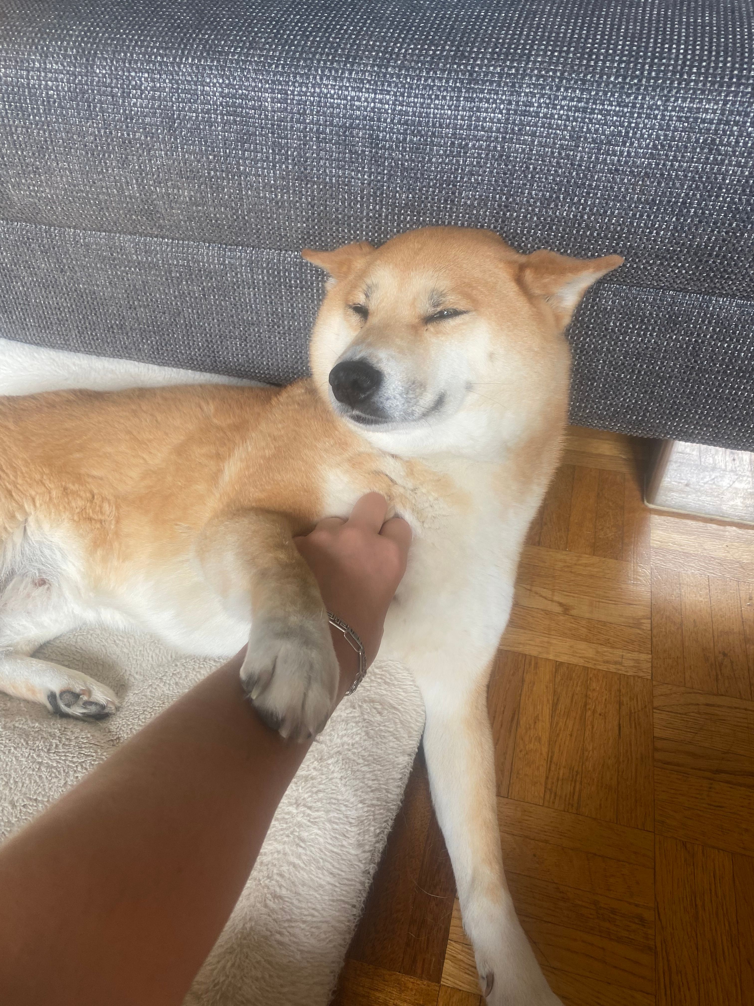 image-6
