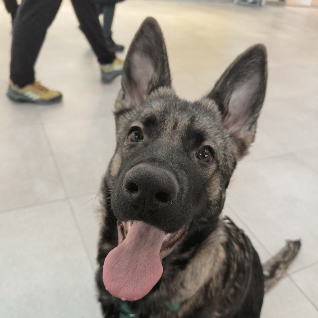 Luna