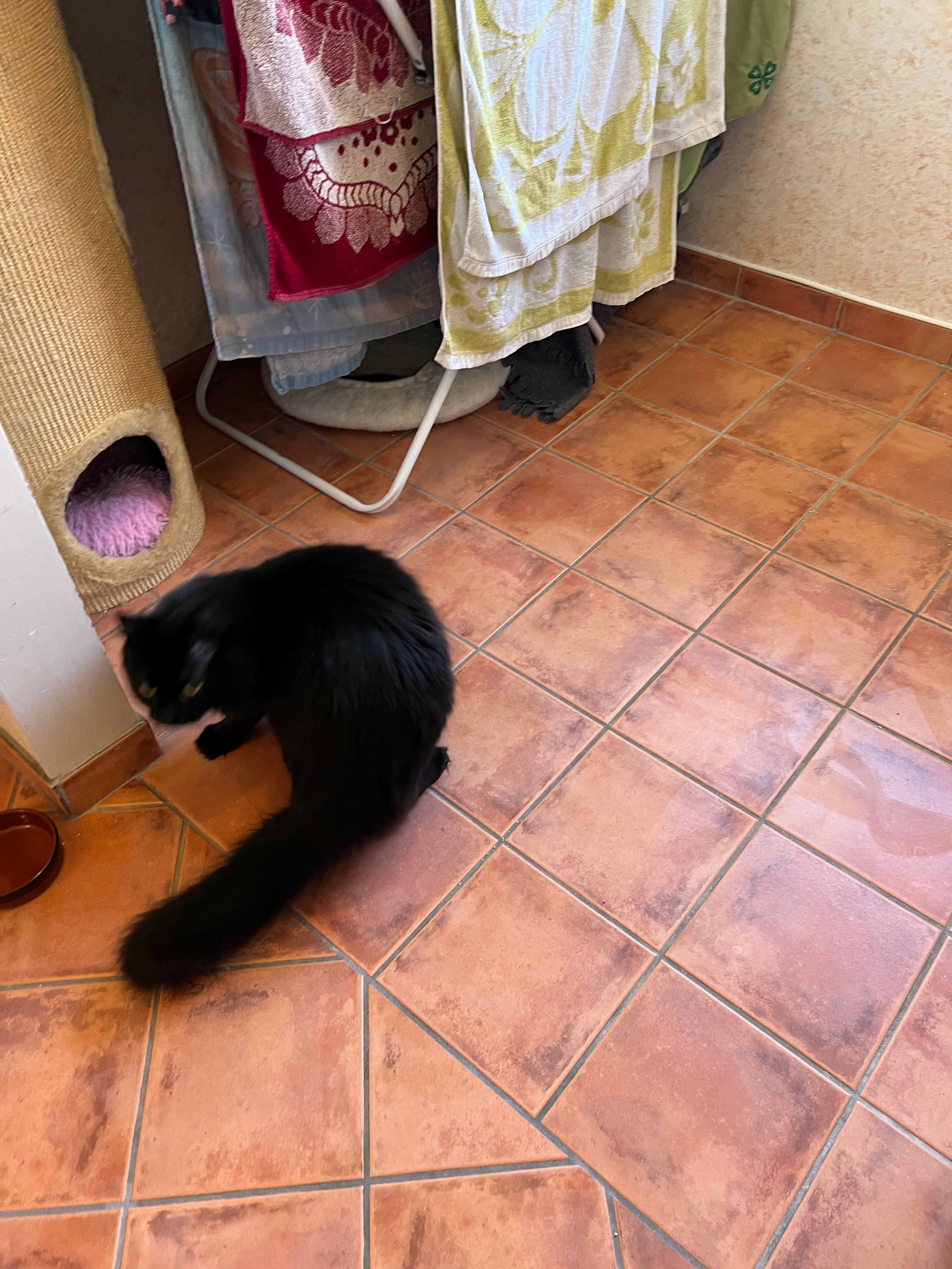 image-16