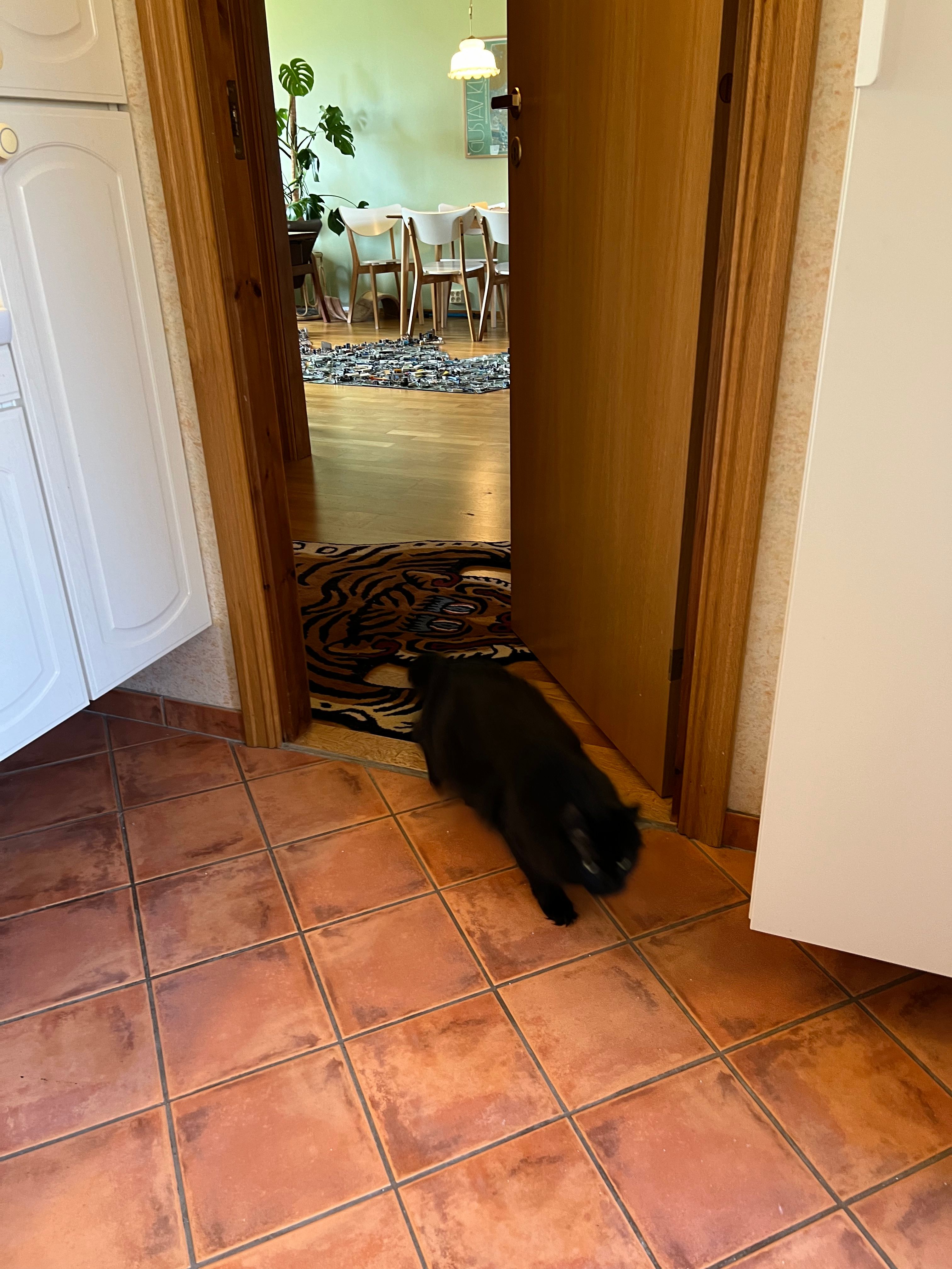 image-18