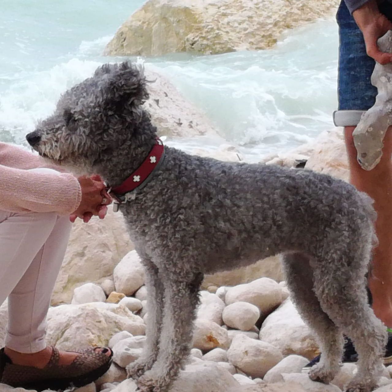 Ayla is als eerste,  Juca, Mira en Alex