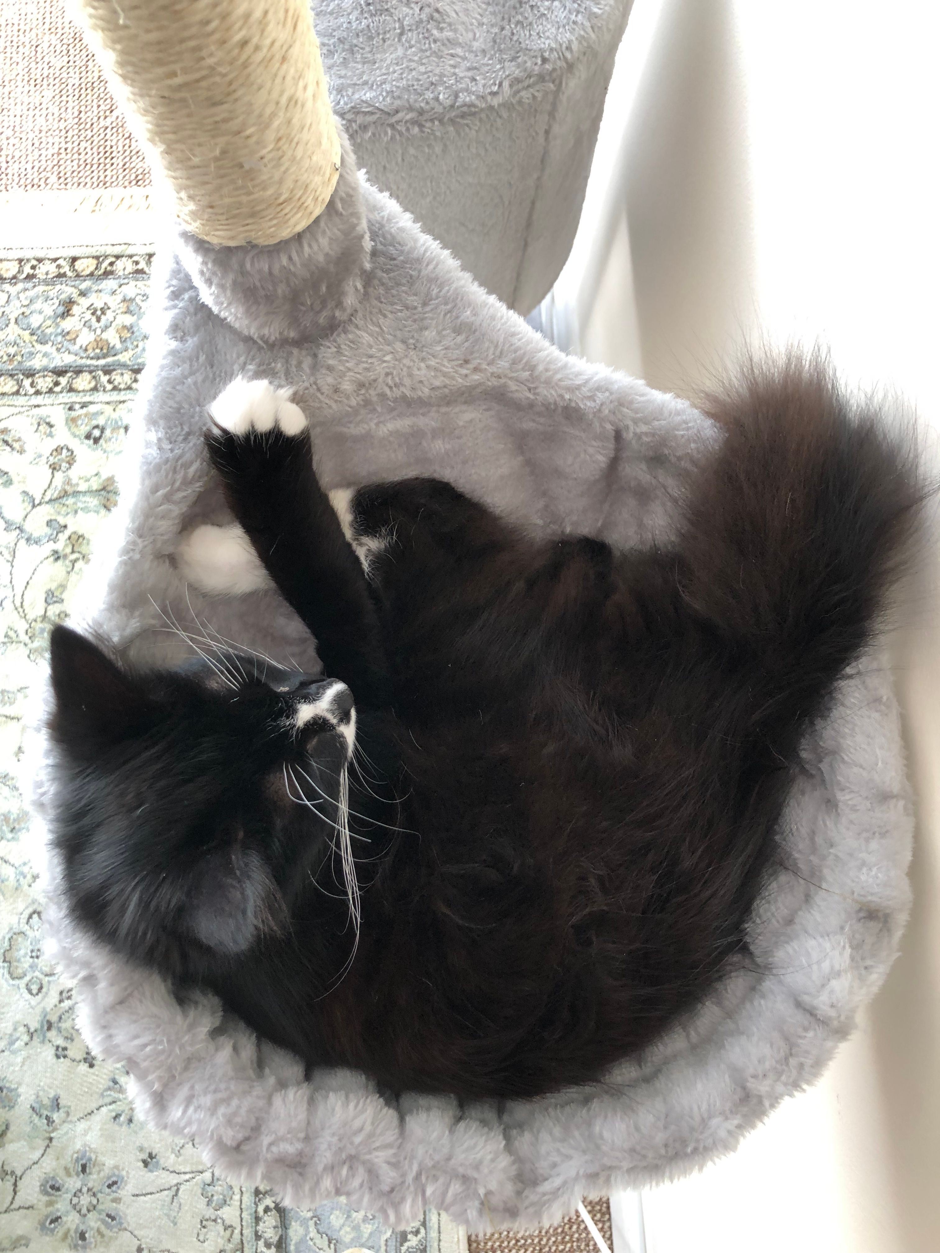 image-18