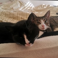 Mogli & Nils