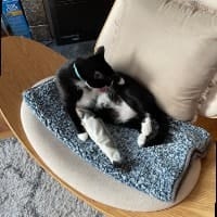 Winnie