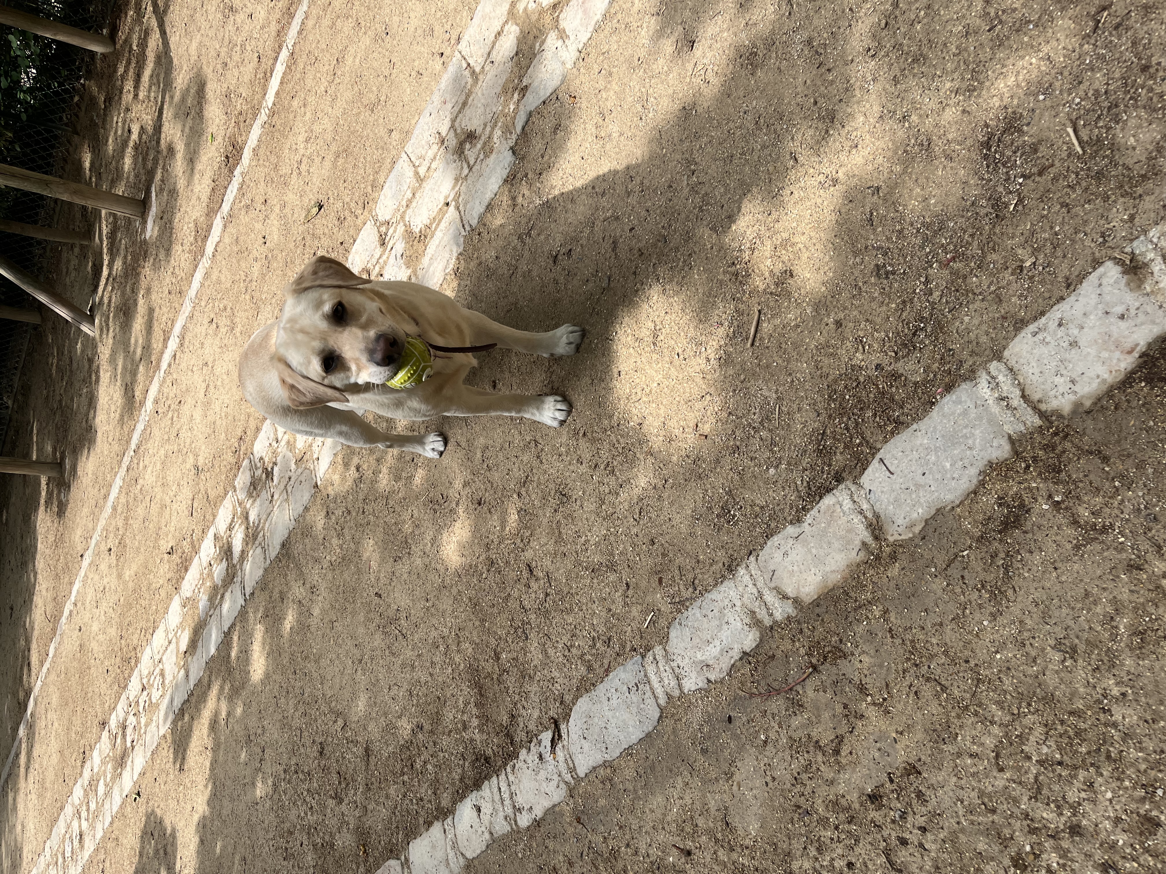 image-7