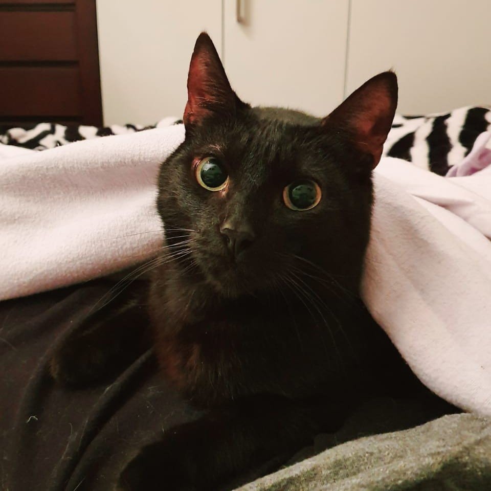 Salem