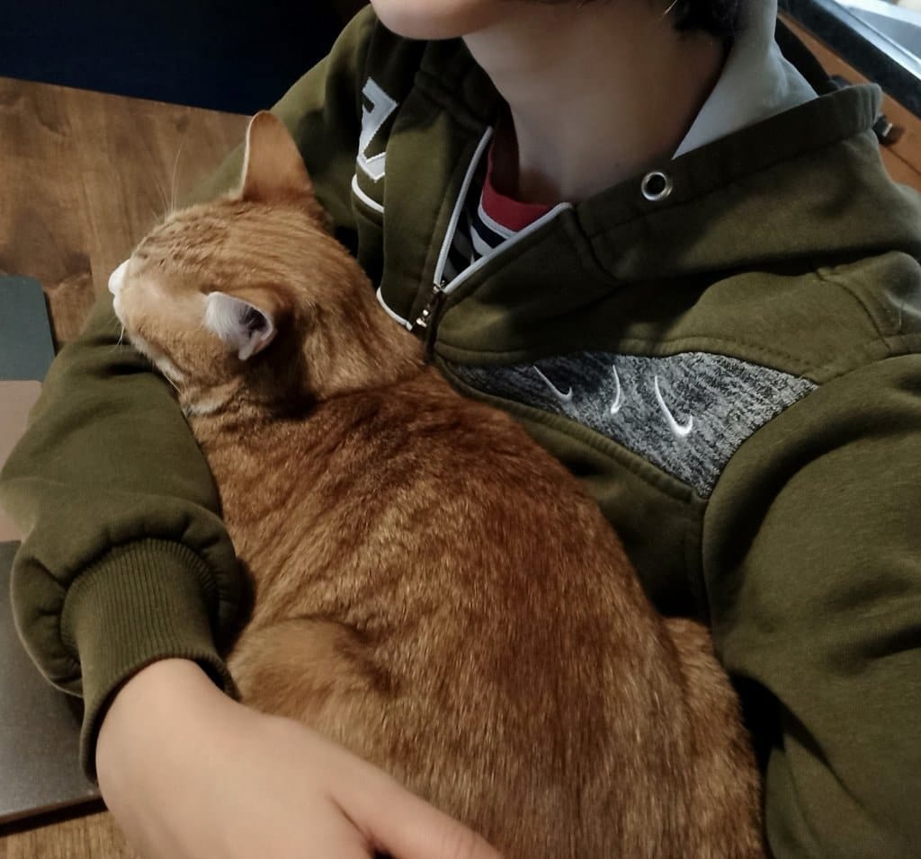 image-6