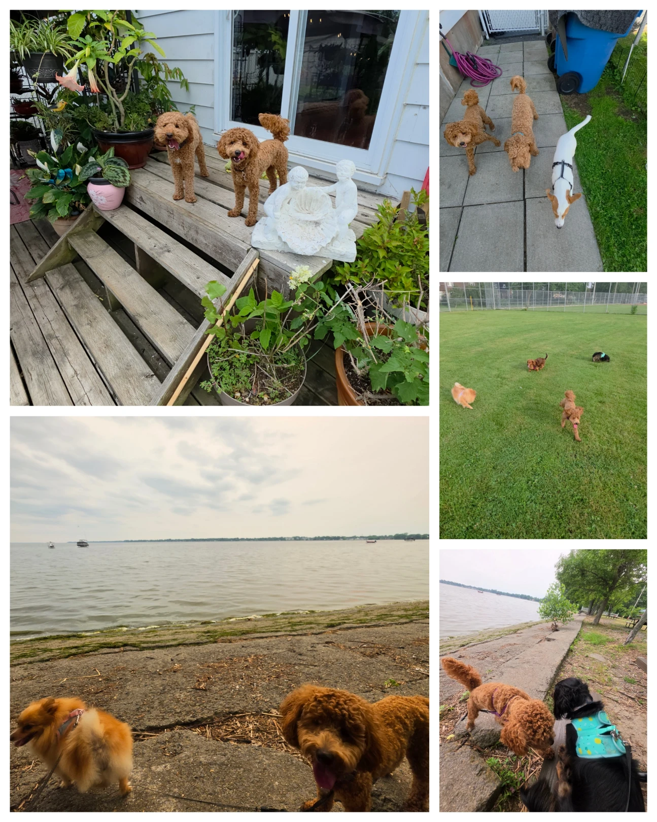 image-5
