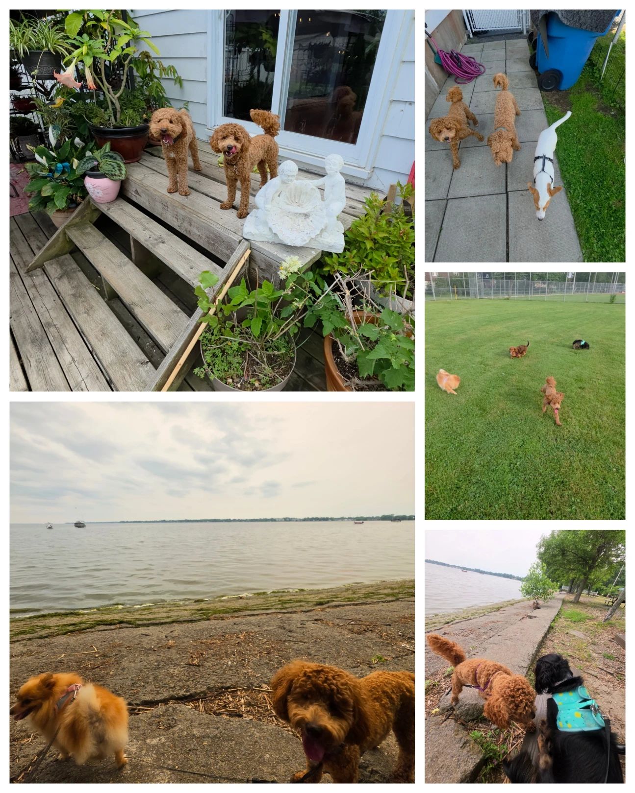 image-5