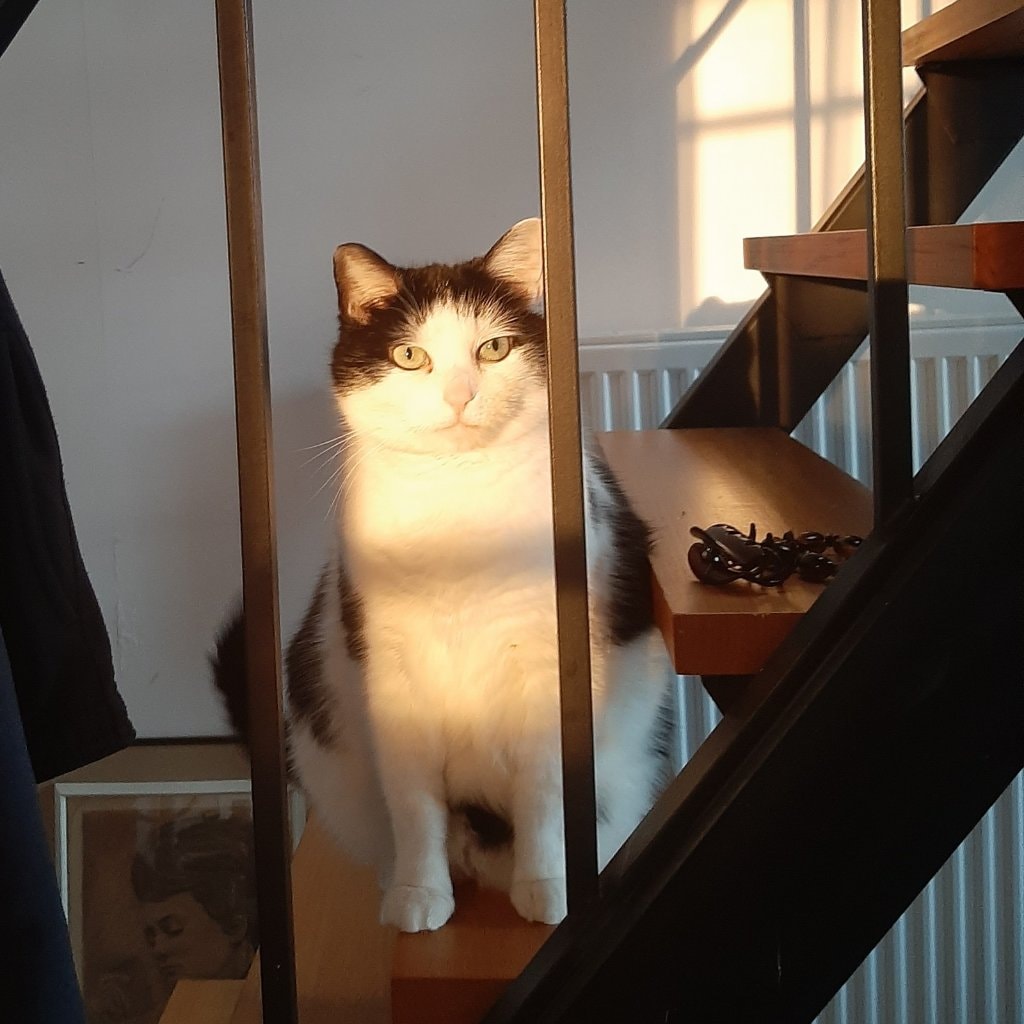 Bella