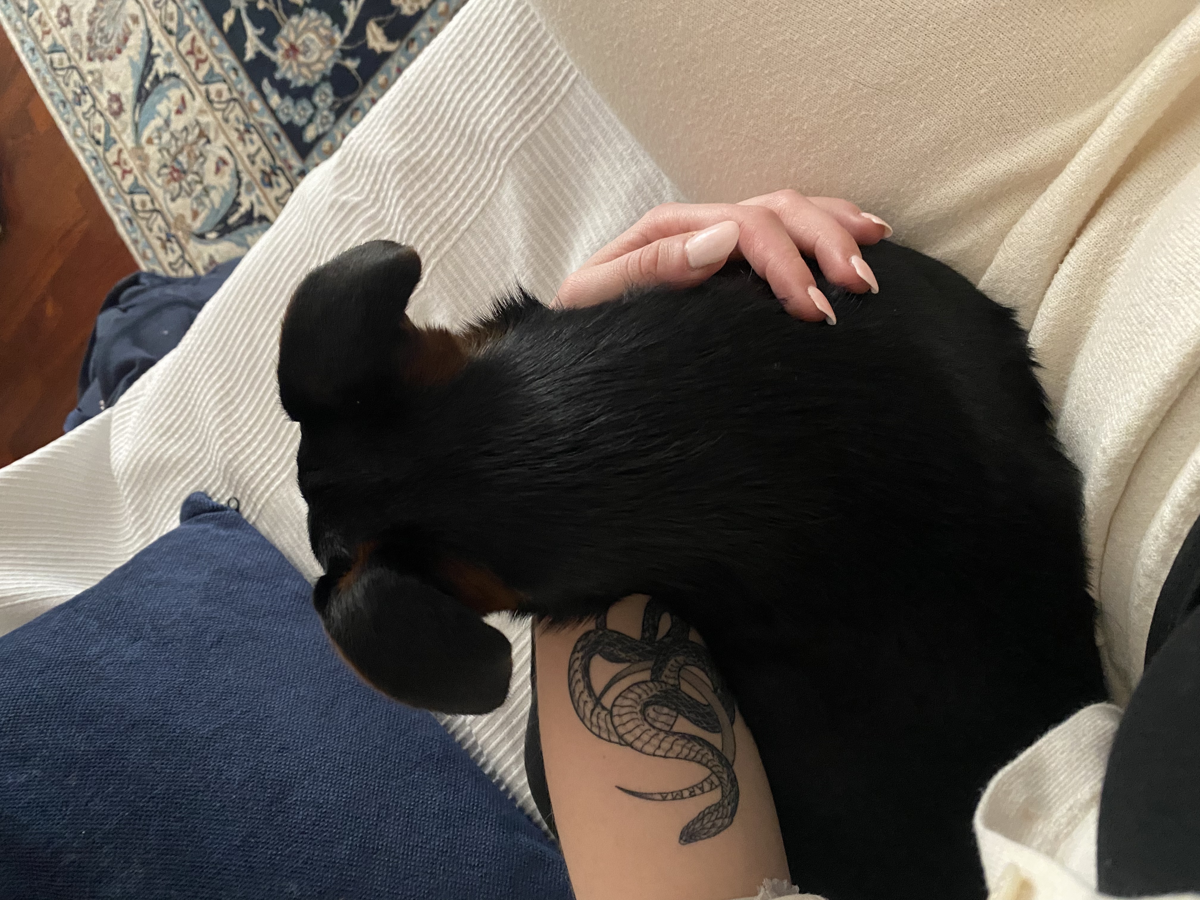 image-6