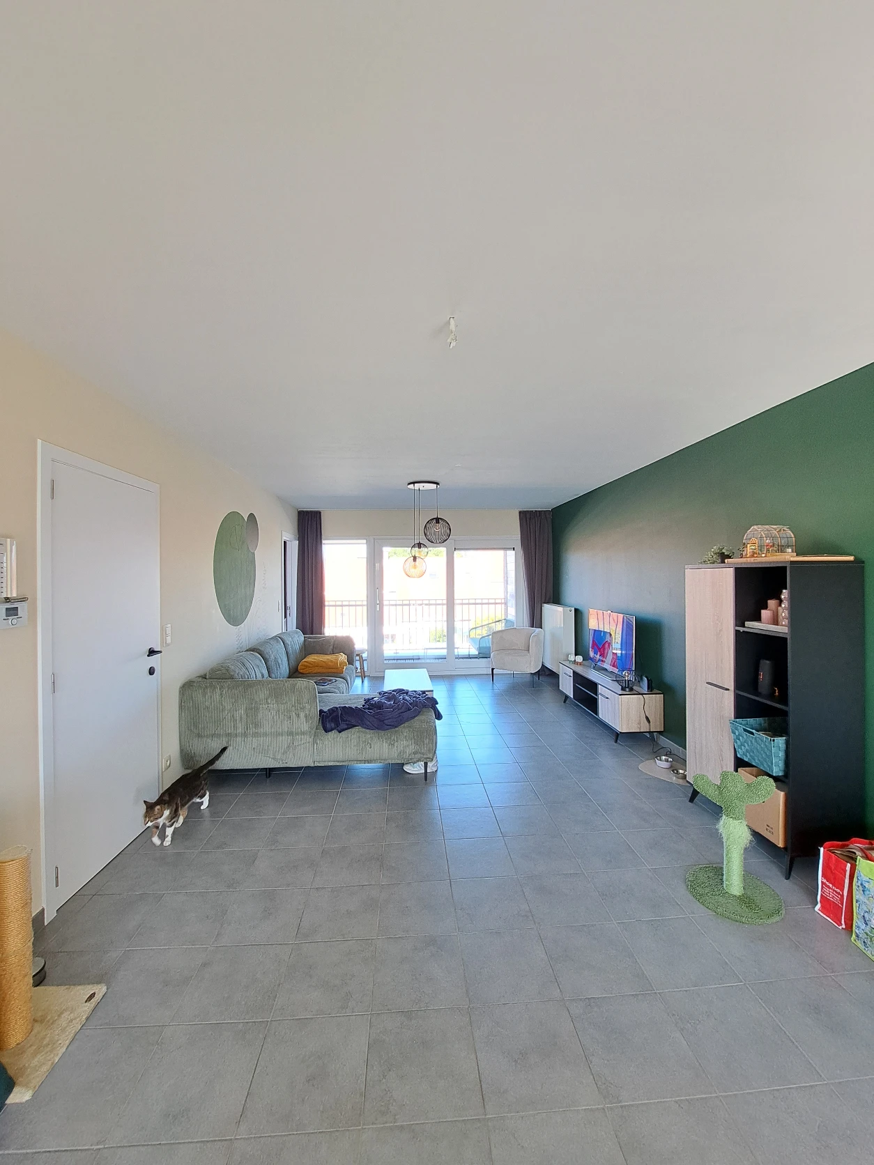 image-19