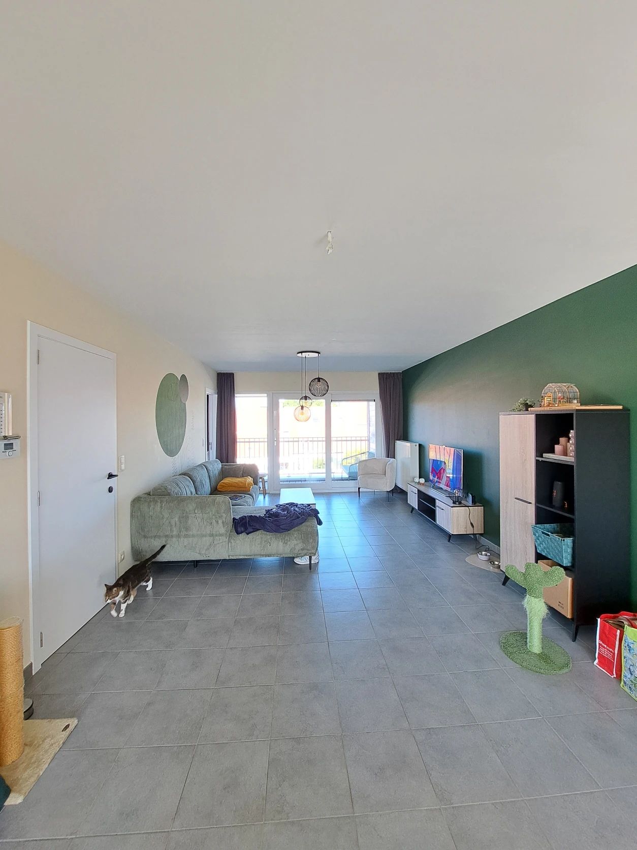 image-19
