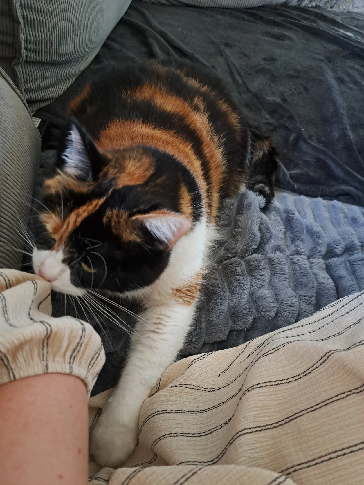 image-11
