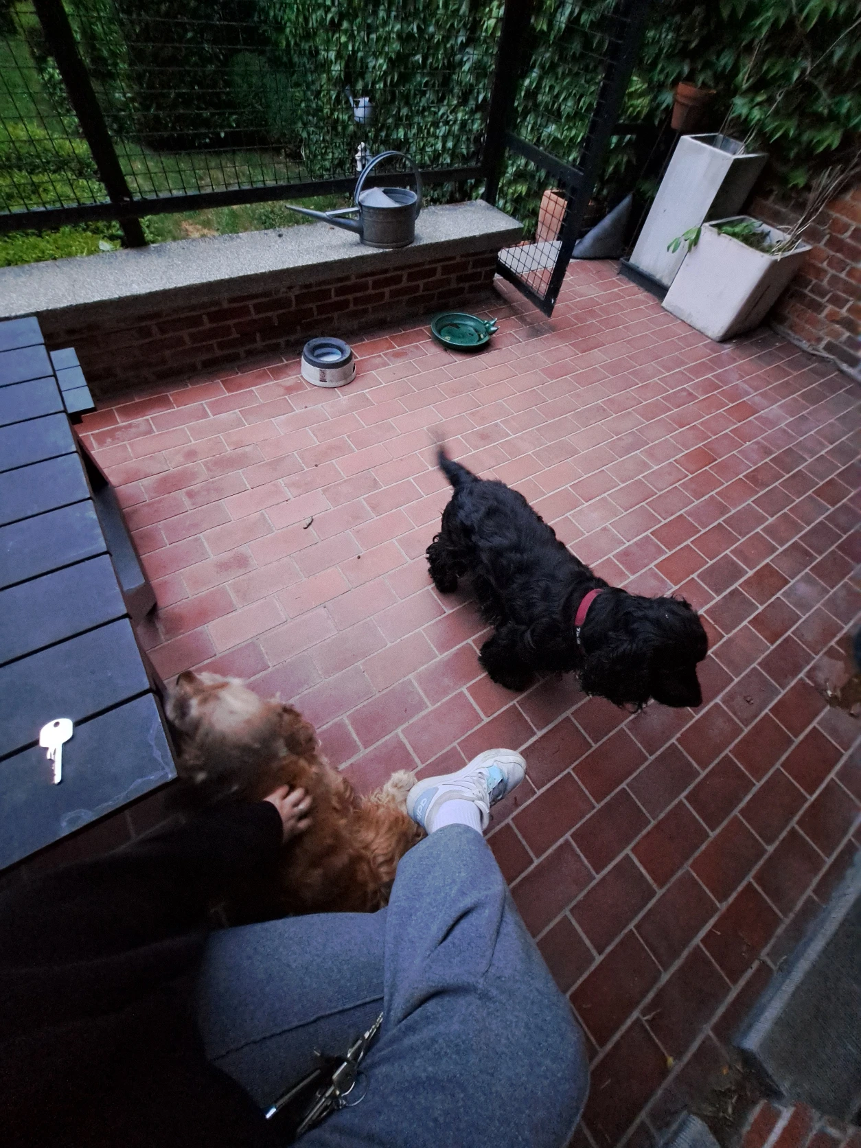 image-12