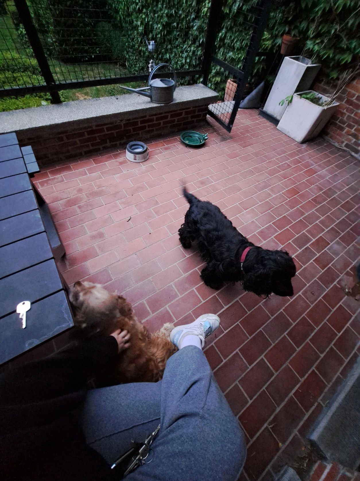 image-12