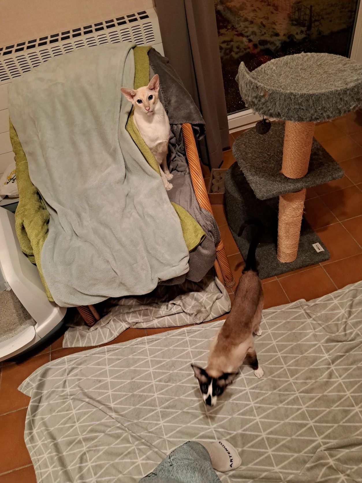 image-8