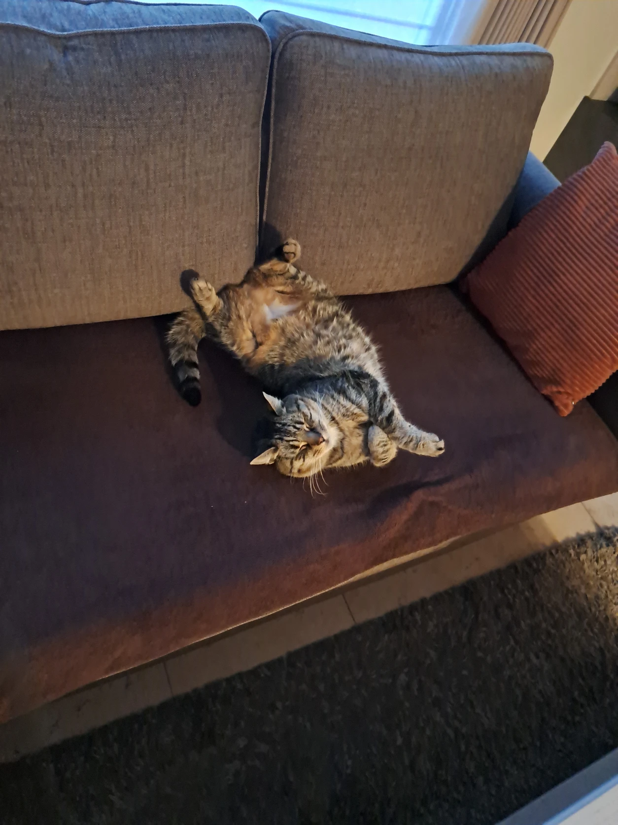 image-9