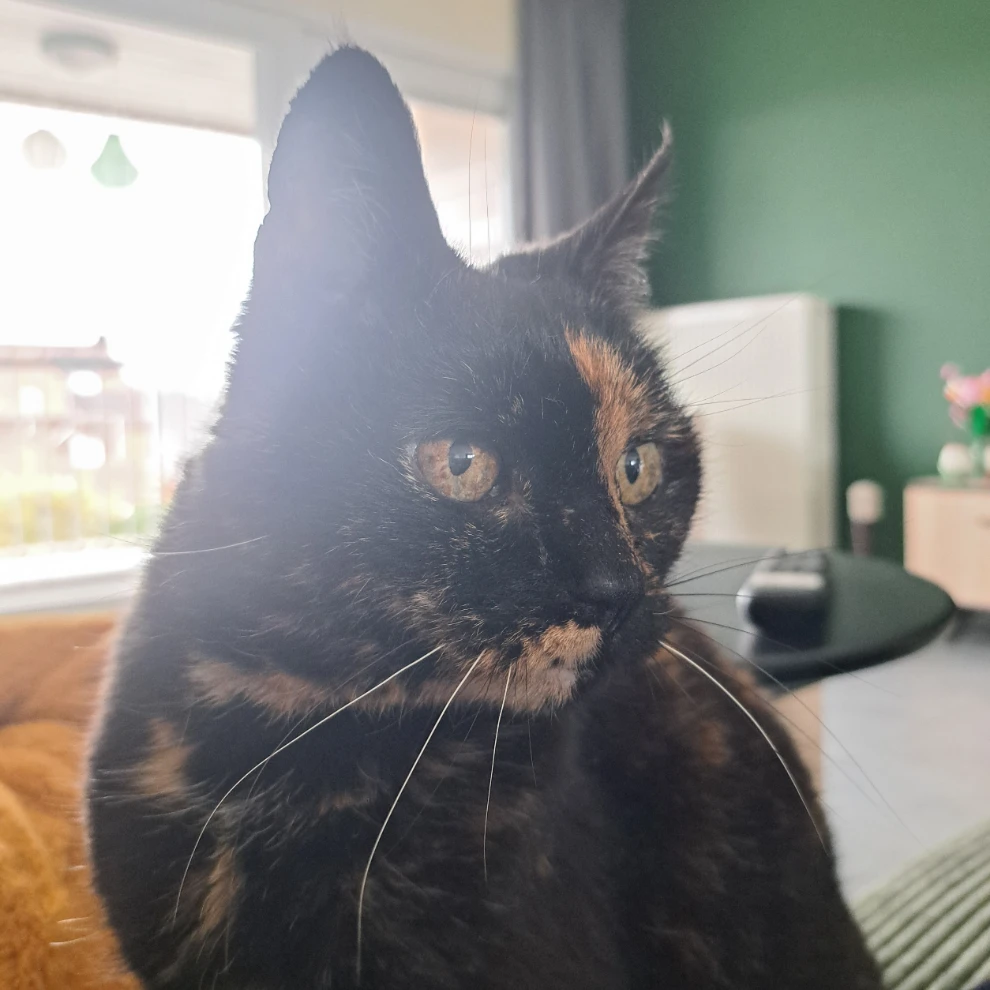 Freya