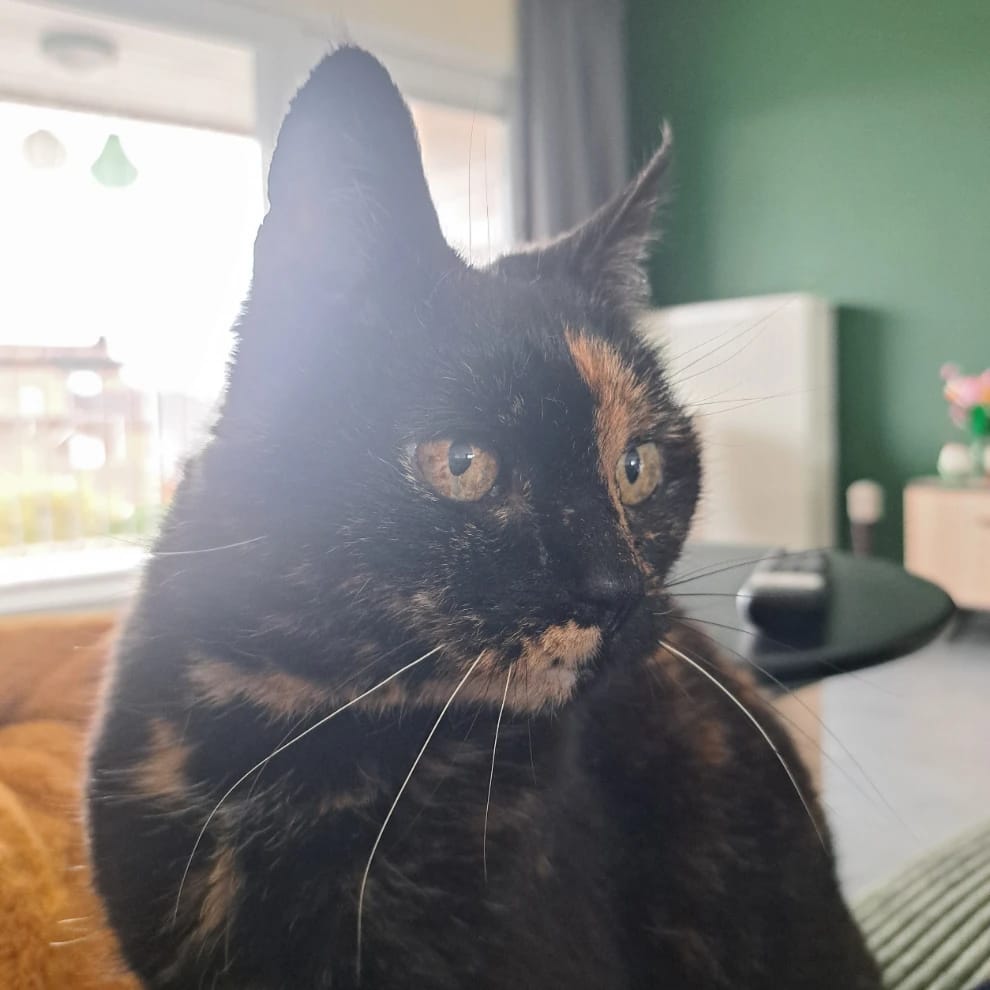 Freya
