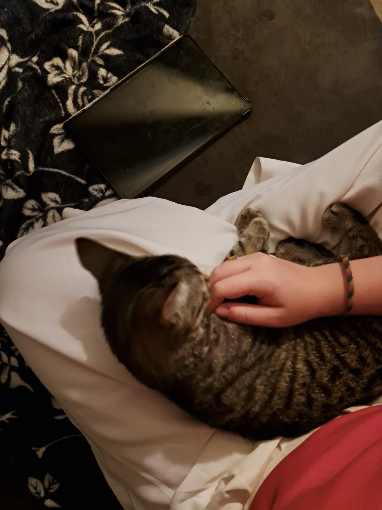 image-6