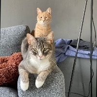 Skyler( in front) and Curry